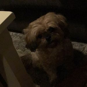 Meet your Posher, Graham